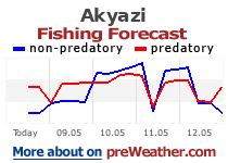 Akyazi fishing forecast