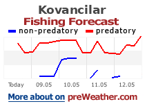 Kovancilar fishing forecast