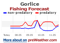 Gorlice fishing forecast