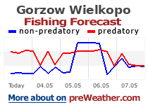 Gorzow Wielkopolski fishing forecast