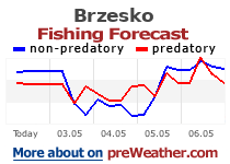 Brzesko fishing forecast
