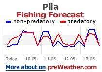 Pila fishing forecast