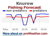Knurow fishing forecast