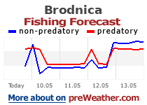Brodnica fishing forecast