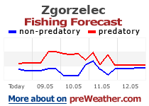 Zgorzelec fishing forecast