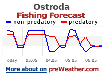 Ostroda fishing forecast