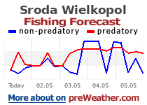 Sroda Wielkopolska fishing forecast