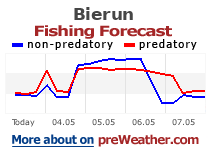 Bierun fishing forecast