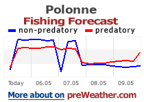 Polonne fishing forecast