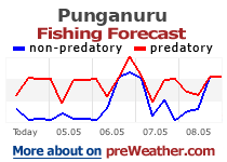 Punganuru fishing forecast