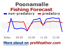 Poonamalle fishing forecast
