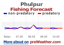 Phulpur fishing forecast