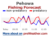 Pehowa fishing forecast