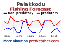 Palakkodu fishing forecast