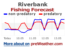Riverbank fishing forecast