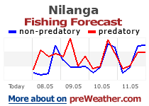 Nilanga fishing forecast