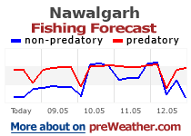 Nawalgarh fishing forecast