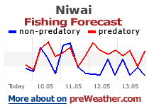 Niwai fishing forecast