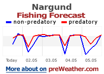 Nargund fishing forecast