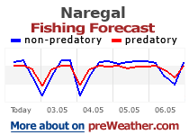 Naregal fishing forecast