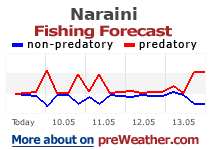 Naraini fishing forecast