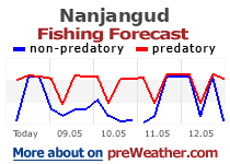 Nanjangud fishing forecast