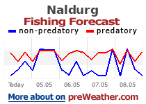 Naldurg fishing forecast