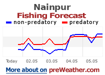 Nainpur fishing forecast