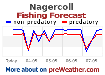 Nagercoil fishing forecast
