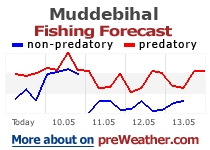 Muddebihal fishing forecast