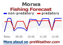 Morwa fishing forecast