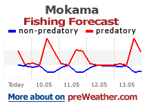 Mokama fishing forecast