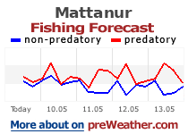 Mattanur fishing forecast