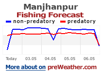 Manjhanpur fishing forecast