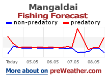 Mangaldai fishing forecast