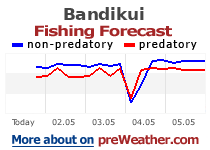 Bandikui fishing forecast