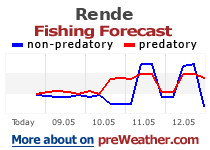 Rende fishing forecast