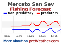Mercato San Severino fishing forecast