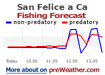San Felice a Cancello fishing forecast