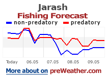 Jarash fishing forecast