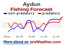 Aydun fishing forecast