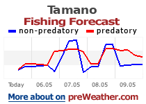 Tamano fishing forecast