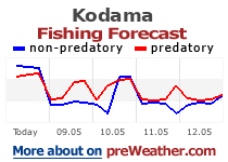 Kodama fishing forecast