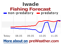 Iwade fishing forecast