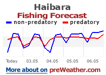 Haibara fishing forecast