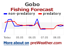 Gobo fishing forecast