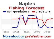 Naples fishing forecast