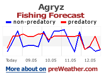 Agryz fishing forecast