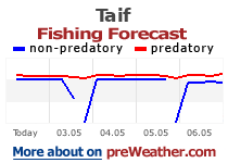 Taif fishing forecast