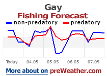 Gay fishing forecast